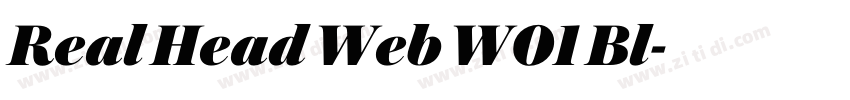 Real Head Web W01 Bl字体转换